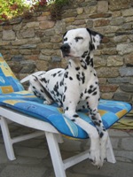 Avatar du membre