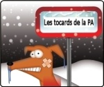 Avatar du membre