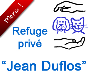 N'achetez pas un Dalmatien, adoptez au Refuge Duflos (06)
