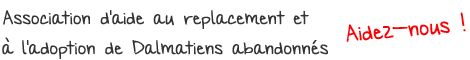 Dalmatien sans Famille, association d'aide au replacement et &agrave; l'adoption de Dalmatiens