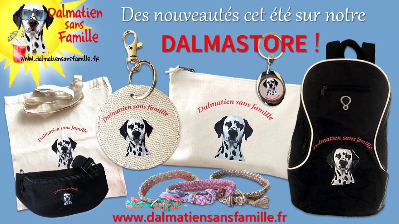 Dalmastore new