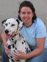 Présidente Dalmatien sans Famille