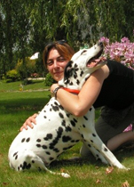 Trésorière Dalmatien sans Famille